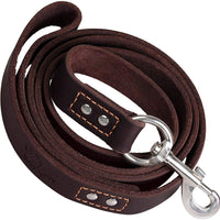 ADITYNA Correa para perro de piel resistente, 6 pies, correa de cuero fuerte y suave para perros extra grandes, grandes y medianos, correa de entrenamiento para perro - BESTMASCOTA.COM