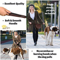 ADITYNA Correa para perro de piel resistente, 6 pies, correa de cuero fuerte y suave para perros extra grandes, grandes y medianos, correa de entrenamiento para perro - BESTMASCOTA.COM