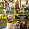 ADITYNA Correa para perro de piel resistente, 6 pies, correa de cuero fuerte y suave para perros extra grandes, grandes y medianos, correa de entrenamiento para perro - BESTMASCOTA.COM