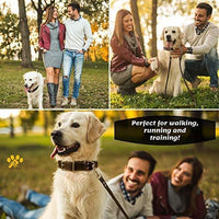 ADITYNA Correa para perro de piel resistente, 6 pies, correa de cuero fuerte y suave para perros extra grandes, grandes y medianos, correa de entrenamiento para perro - BESTMASCOTA.COM