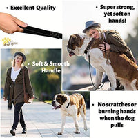 ADITYNA Correa para perro de piel resistente, 6 pies, correa de cuero fuerte y suave para perros extra grandes, grandes y medianos, correa de entrenamiento para perro - BESTMASCOTA.COM