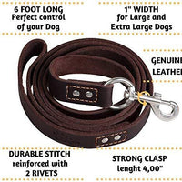ADITYNA Correa para perro de piel resistente, 6 pies, correa de cuero fuerte y suave para perros extra grandes, grandes y medianos, correa de entrenamiento para perro - BESTMASCOTA.COM
