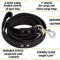 ADITYNA Correa para perro de piel resistente, 6 pies, correa de cuero fuerte y suave para perros extra grandes, grandes y medianos, correa de entrenamiento para perro - BESTMASCOTA.COM
