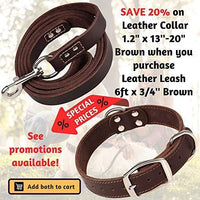 ADITYNA Correa para perro de piel resistente, 6 pies, correa de cuero fuerte y suave para perros extra grandes, grandes y medianos, correa de entrenamiento para perro - BESTMASCOTA.COM