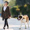 ADITYNA Correa para perro de piel resistente, 6 pies, correa de cuero fuerte y suave para perros extra grandes, grandes y medianos, correa de entrenamiento para perro - BESTMASCOTA.COM