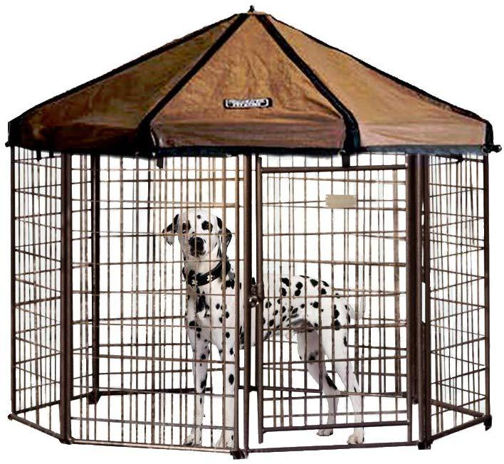 Advant perreras de lujo  con puerta de acceso Pet Gazebo - BESTMASCOTA.COM