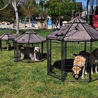 Advant perreras de lujo  con puerta de acceso Pet Gazebo - BESTMASCOTA.COM
