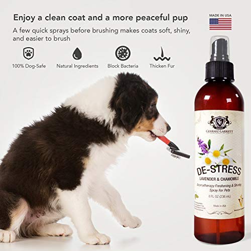 ARTERO Perfume. Colonia de acabado para perros y gatos, spray de aseo  personal. Sprays de larga duración de colonia después del baño -  desodorizante.