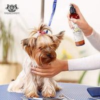 Aerosol refrescante y brilloso de aromaterapia para mascotas, aerosol para aseo de perros, perfume canino, colonia de perro y eliminador de olor para perro - BESTMASCOTA.COM