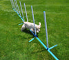 Agility Weave - Varillas ajustables de 6 postes con funda de transporte y estacas de hierba - BESTMASCOTA.COM