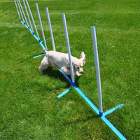 Agility Weave - Varillas ajustables de 6 postes con funda de transporte y estacas de hierba - BESTMASCOTA.COM