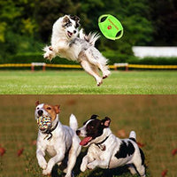 Aipper Juguetes para cachorros de perro, 12 unidades, juguetes para masticar cachorros para jugar y limpiar los dientes, juguetes de chirriar IQ Treat Ball y disco volador de perro incluido, juguetes para morder cachorros para perros medianos a pequeños, - BESTMASCOTA.COM