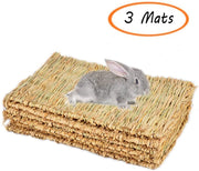 Alfombra de césped tejida para animales pequeños, conejito de juguete para masticar, cama de juguete para cobaya, loro, conejo, hámster (paquete de 3), Básico - BESTMASCOTA.COM