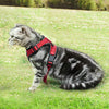 rabbitgoo - Arnés para gato para caminar, a prueba de escape, para gatos pequeños y medianos, arneses ajustables, arnés de malla suave para gatos pequeños, chaqueta de gato segura con tiras reflectantes y 1 anillo de metal - BESTMASCOTA.COM