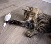 Petlinks Electronic Motion Toys for Cats - BESTMASCOTA.COM