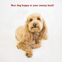 Cama para perro Bagel de Majestic Pet Products - BESTMASCOTA.COM