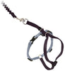 PetSafe Come with Me Kitty Harness and Bungee Leash, Harness for Cats - BESTMASCOTA.COM