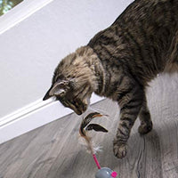 Petlinks Electronic Motion Toys for Cats - BESTMASCOTA.COM