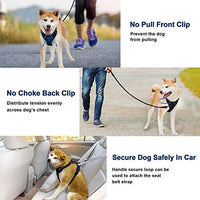 Arnés para perro BARKBAY sin tirones, arnés para perro reflectante con clip frontal y mango de control fácil para caminar, entrenamiento, correr - BESTMASCOTA.COM