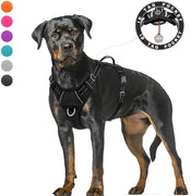 BARKBAY - Arnés para perro con clip frontal y asa de fácil control - BESTMASCOTA.COM