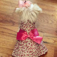 Petroom - Vestido de perro para cachorro, diseño de princesa floral para perros pequeños, gatos para verano - BESTMASCOTA.COM