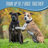 Pet Union PT0Z1 collar de entrenamiento para perros, totalmente impermeable, rango de 1200 pies - BESTMASCOTA.COM