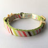 Fantasia Pet Breakaway - Collar para gato - BESTMASCOTA.COM