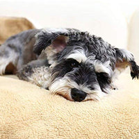 PAWZ - Manta para perro, suave, suave y cálida, doble cara, sin pelusas, para perros y gatos y animales pequeños, tamaño pequeño - BESTMASCOTA.COM