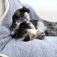 PAWZ - Manta para perro, suave, suave y cálida, doble cara, sin pelusas, para perros y gatos y animales pequeños, tamaño pequeño - BESTMASCOTA.COM