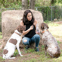 Sancho & Lola Palitos de buey crocantes para perros de 6 o 12 in fabricados en EE.UU., bocadillos de carne boutique libre de grano y alimentado con pasto para perros con alta proteína - BESTMASCOTA.COM