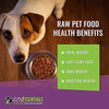 Vital Essentials Alimentos para perros de ingredientes limitados, sin granos, congelados, paquete de 3 - BESTMASCOTA.COM