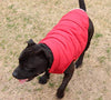 JoyDaog - Chaqueta de forro polar para perro, 2 capas, para cachorro, para invierno y clima frío, suave y resistente al viento, para perros pequeños - BESTMASCOTA.COM