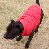 JoyDaog - Chaqueta de forro polar para perro, 2 capas, para cachorro, para invierno y clima frío, suave y resistente al viento, para perros pequeños - BESTMASCOTA.COM