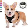 BARKBAY - Arnés para perro con clip frontal y asa de fácil control - BESTMASCOTA.COM