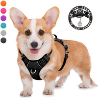 BARKBAY - Arnés para perro con clip frontal y asa de fácil control - BESTMASCOTA.COM