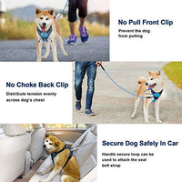 Arnés para perro BARKBAY sin tirones, arnés para perro reflectante con clip frontal y mango de control fácil para caminar, entrenamiento, correr - BESTMASCOTA.COM