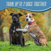 Pet Union PT0Z1 collar de entrenamiento para perros, totalmente impermeable, rango de 1200 pies - BESTMASCOTA.COM