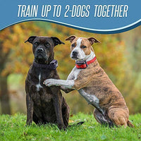 Pet Union PT0Z1 collar de entrenamiento para perros, totalmente impermeable, rango de 1200 pies - BESTMASCOTA.COM