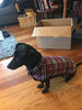 MIGOHI Dog Jackets for Winter Windproof Waterproof Reversible Dog Coat for Cold Weather British Style Plaid Warm Dog Vest for Small Medium Large Dogs - BESTMASCOTA.COM