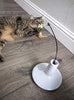 Petlinks Electronic Motion Toys for Cats - BESTMASCOTA.COM