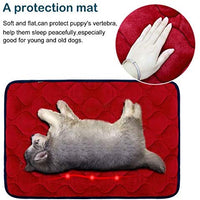 Colchón antideslizante lavable para perros grandes, medianos y pequeños - BESTMASCOTA.COM