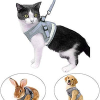 Arnés y correa para gato a prueba de fugas para caminar, chaleco ajustable de malla suave con correa para gatito, cachorro, conejo - BESTMASCOTA.COM