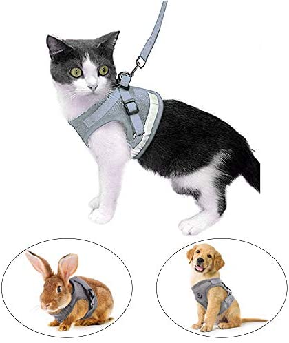 AWOOF Arnés y correa a prueba de escape, ajustable para gatos, cachorros y  gatos, chaqueta para caminar con correa de metal, suave y transpirable para  mascotas