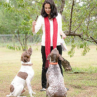 Sancho & Lola Palitos de buey crocantes para perros de 6 o 12 in fabricados en EE.UU., bocadillos de carne boutique libre de grano y alimentado con pasto para perros con alta proteína - BESTMASCOTA.COM