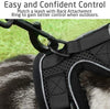 rabbitgoo - Arnés para gato para caminar, a prueba de escape, para gatos pequeños y medianos, arneses ajustables, arnés de malla suave para gatos pequeños, chaqueta de gato segura con tiras reflectantes y 1 anillo de metal - BESTMASCOTA.COM