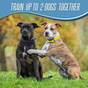 Pet Union PT0Z1 collar de entrenamiento para perros, totalmente impermeable, rango de 1200 pies - BESTMASCOTA.COM