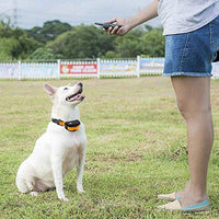 Pet Union PT0Z1 collar de entrenamiento para perros, totalmente impermeable, rango de 1200 pies - BESTMASCOTA.COM