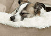 Cama acogedora Best Friends by Sheri, cama de lujo para perros y gatos con cobija, cálida y segura. Brinda apoyo para la cabeza, el cuello y las articulaciones, lavable a máquina, parte inferior resistente al agua - BESTMASCOTA.COM
