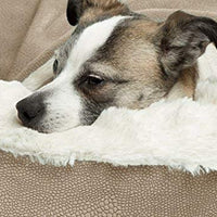 Cama acogedora Best Friends by Sheri, cama de lujo para perros y gatos con cobija, cálida y segura. Brinda apoyo para la cabeza, el cuello y las articulaciones, lavable a máquina, parte inferior resistente al agua - BESTMASCOTA.COM
