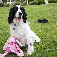 HuggleHounds - Juguete de peluche chirriante para perros con nudos para masticadores agresivos - BESTMASCOTA.COM